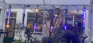 MoonLight at a concert